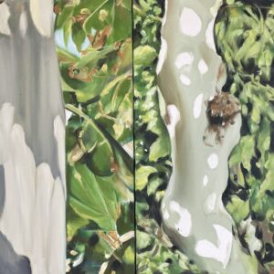 Composicion Falsa Platanera