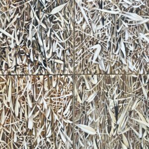 Composicion Hierba Seca